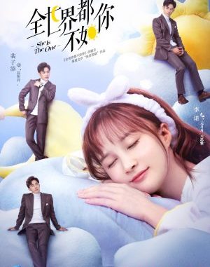 Download Drama China She is the One Subtitle Indonesia